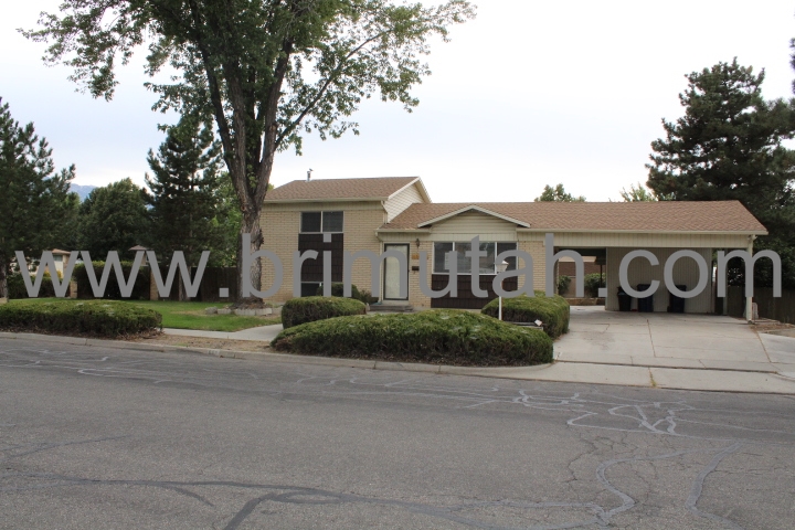 602 E. Pioneer Ave.